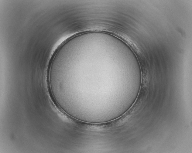 X0000115181086200911181422