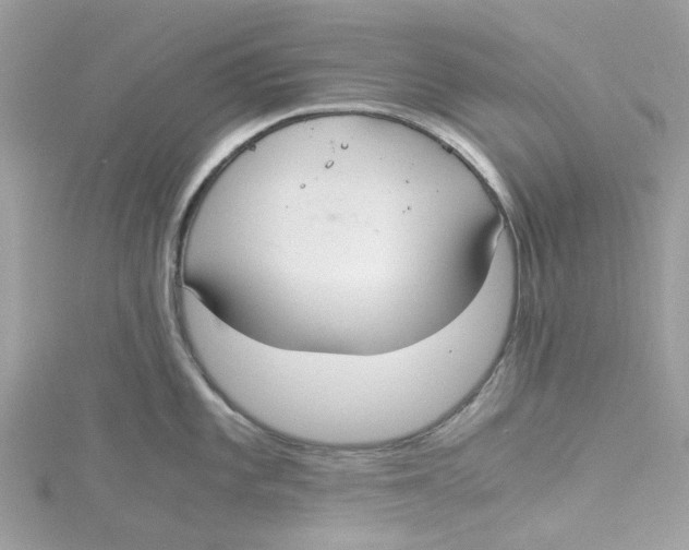 X0000115181101200911181422