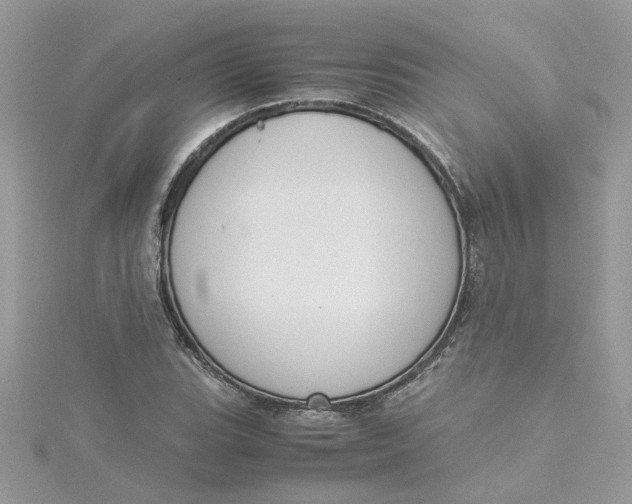 X0000115181119200911181421