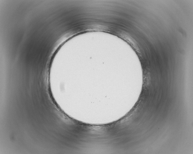 X0000115181130200911181421