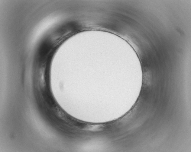 X0000115181150200911181422