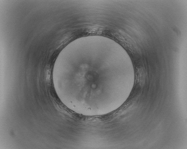 X0000115181154200911181421