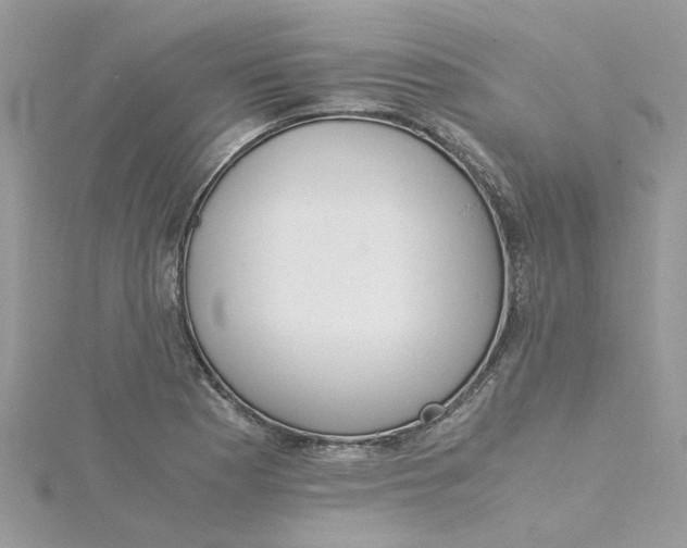 X0000115181177200911181421