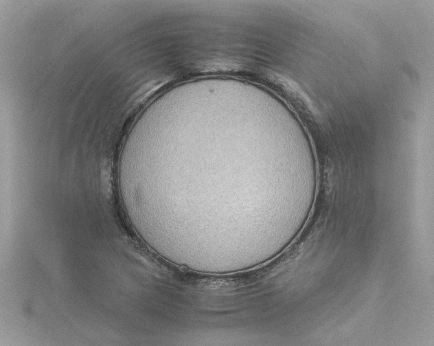 X0000115181217200911181420