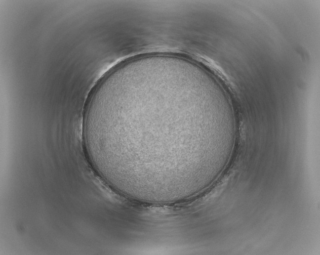 X0000115181220200911181420