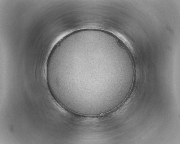 X0000115181238200911181420