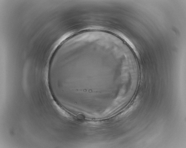 X0000115181245200911181420