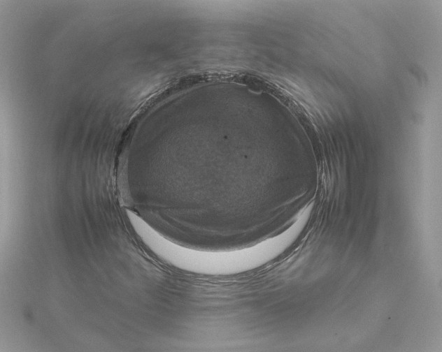 X0000115181252200911181420