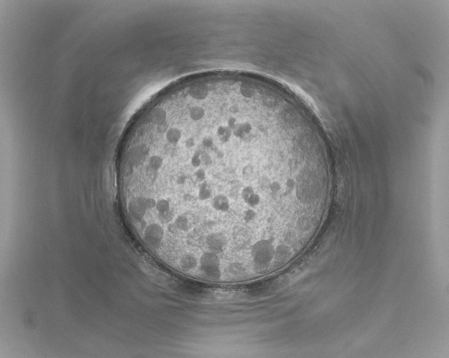 X0000115181271200911181419