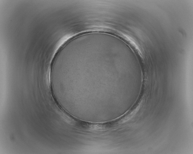 X0000115181275200911181419