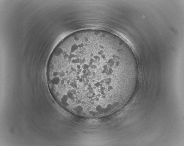 X0000115181283200911181419