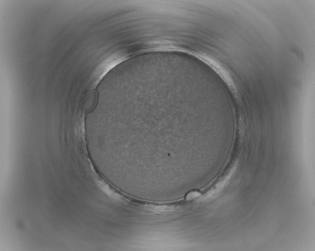 X0000115181289200911181419