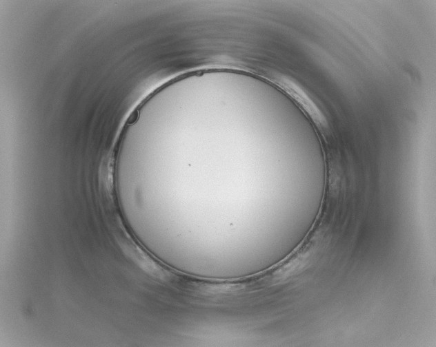 X0000115181292200911181419