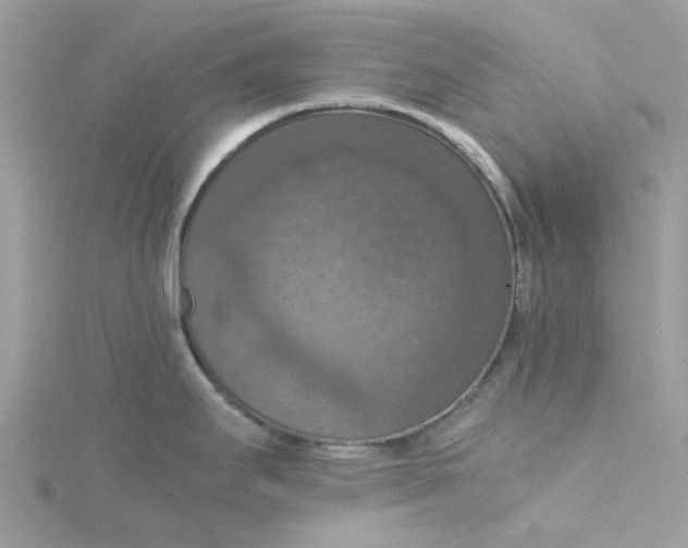 X0000115181295200911181419