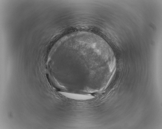 X0000115181297200911181419