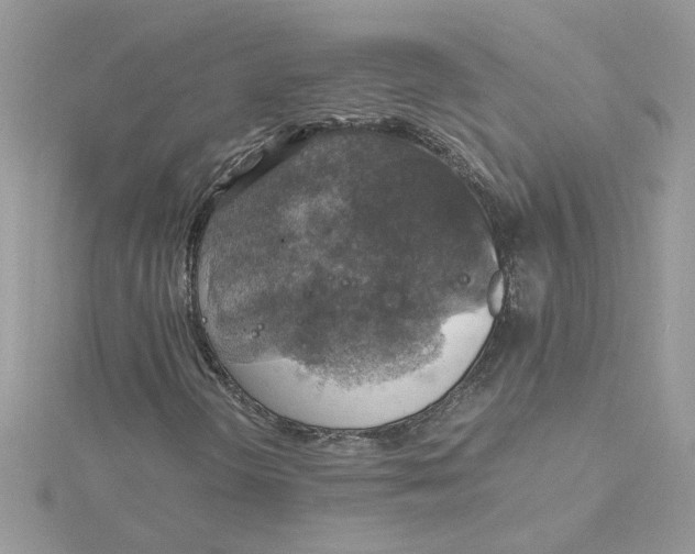 X0000115181298200911181419
