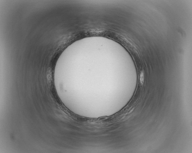 X0000115181299200911181419