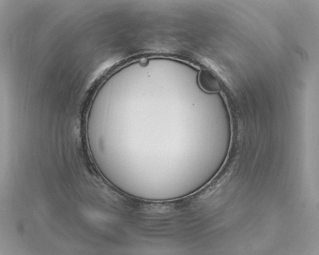 X0000115181307200911181419