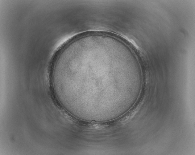 X0000115181311200911181419