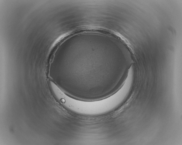 X0000115181314200911181419