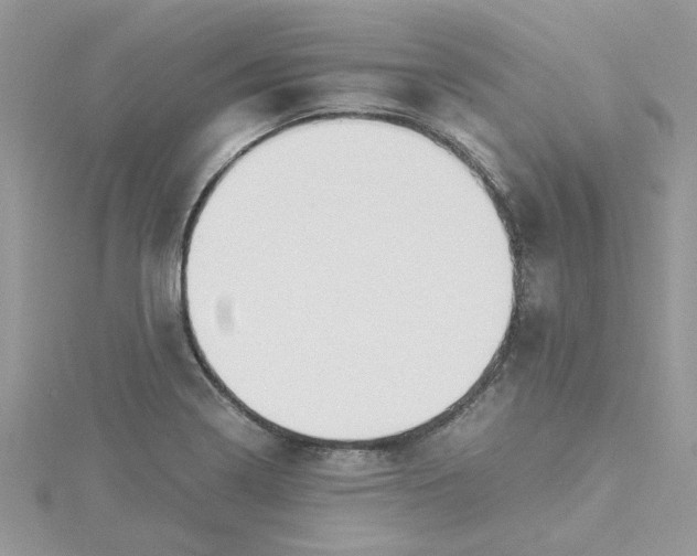 X0000115181322200911181419