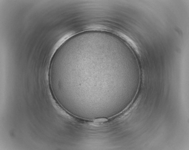 X0000115181330200911181419