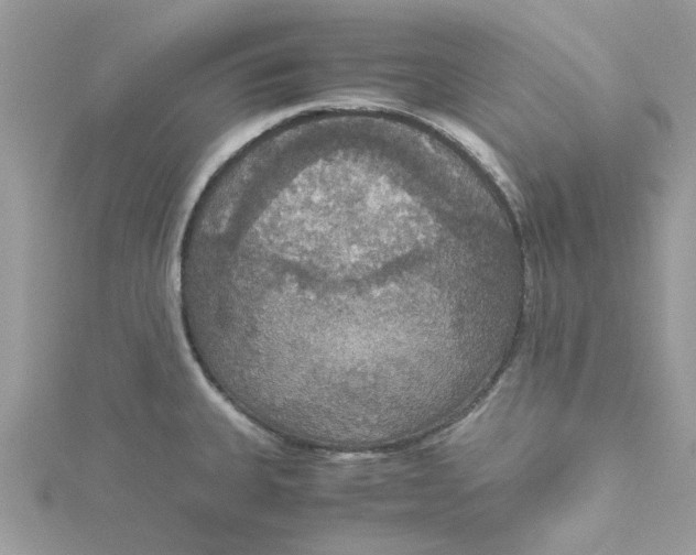 X0000115181335200911181419