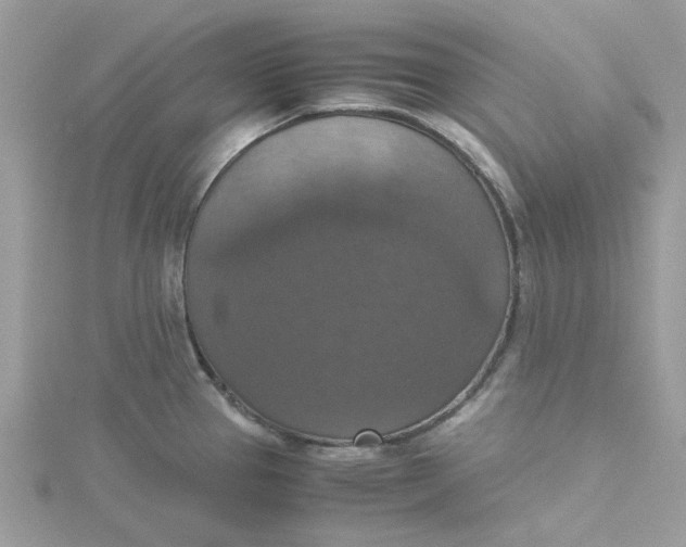 X0000115181337200911181419