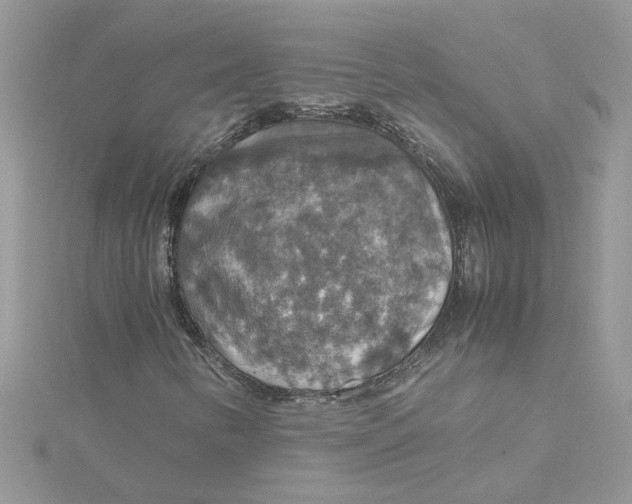 X0000115181346200911181418
