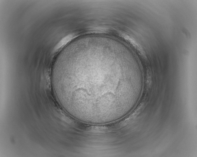 X0000115181354200911181418
