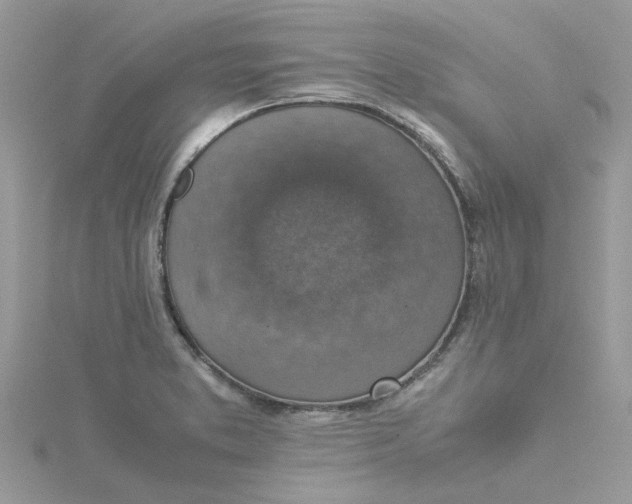 X0000115181373200911181418