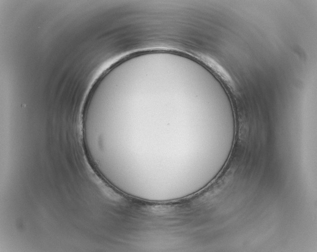 X0000115181380200911181418