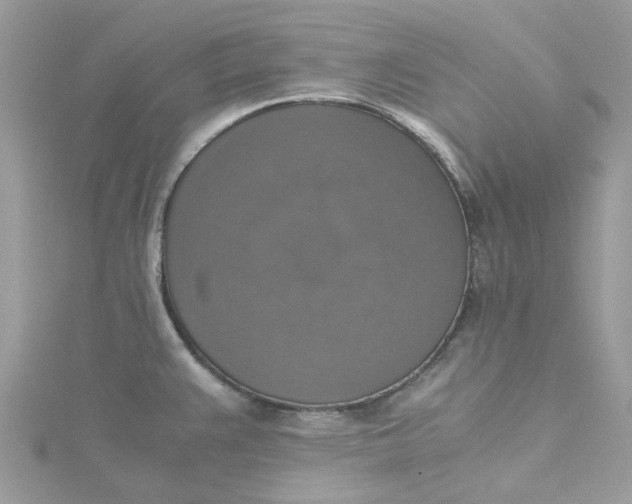 X0000115181383200911181418