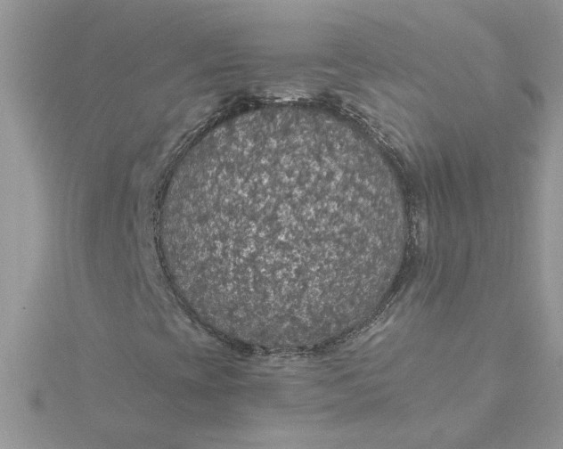 X0000115181393200911181417