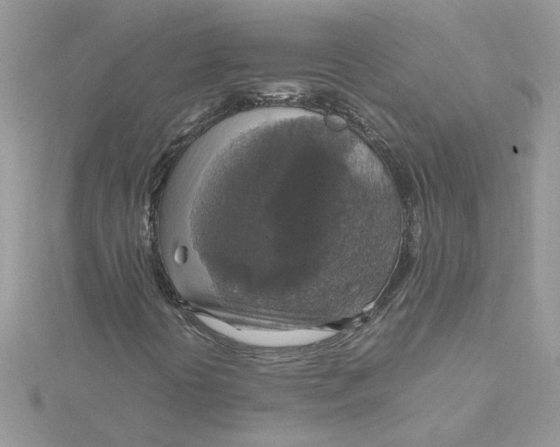 X0000115181394200911181417