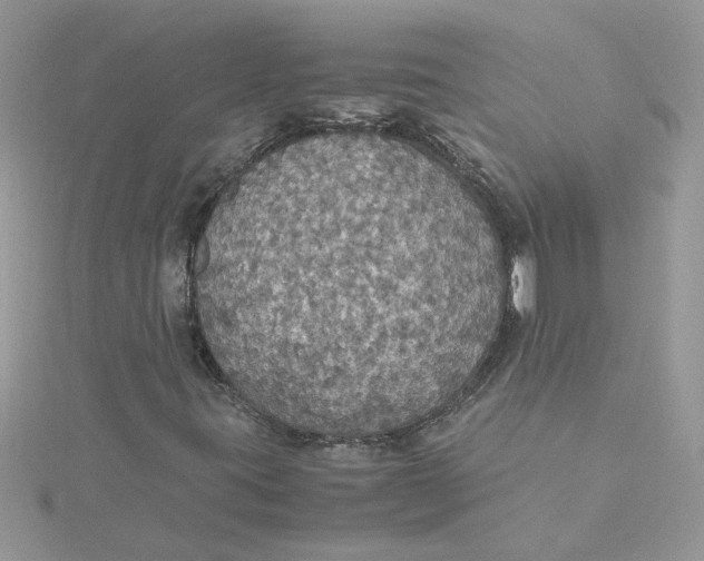 X0000115181395200911181417