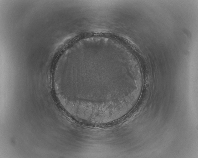 X0000115181398200911181417