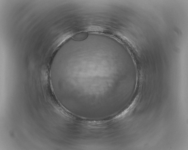 X0000115181401200911181417