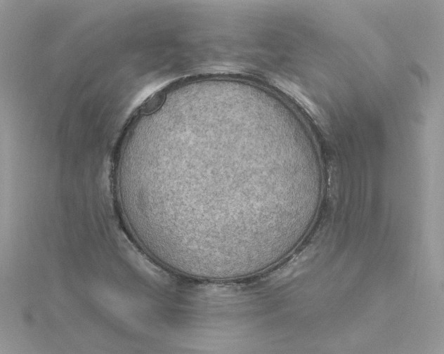 X0000115181404200911181417