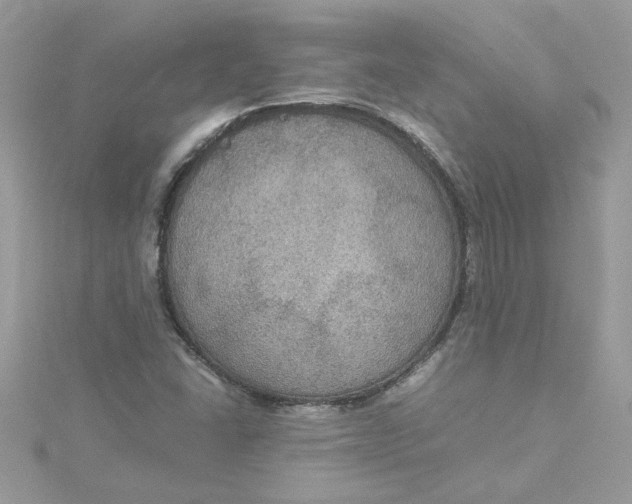X0000115181406200911181417