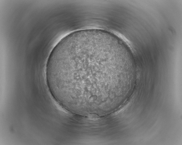 X0000115181423200911181418