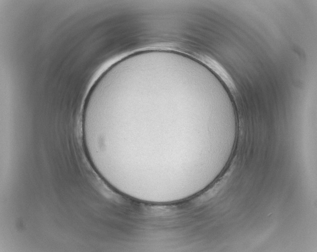 X0000115181436200911181418