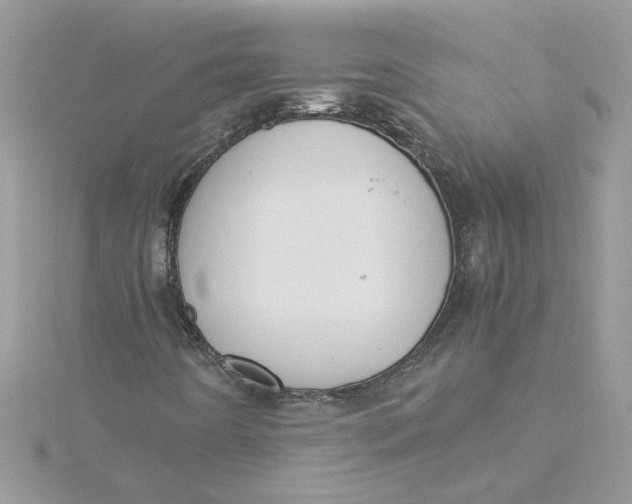 X0000115181442200911181417