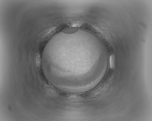 X0000115181443200911181417