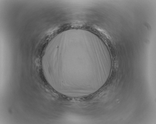 X0000115181445200911181417
