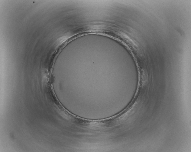 X0000115181449200911181417
