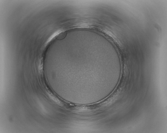 X0000115181450200911181417