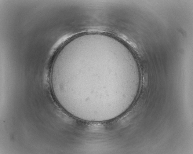 X0000115181454200911181417