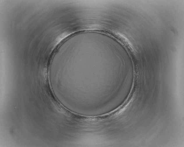 X0000115181457200911181417