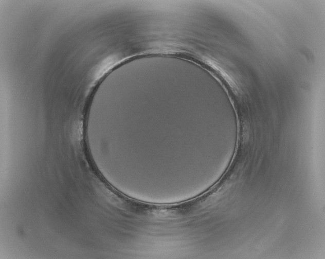 X0000115181459200911181417